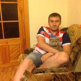 ���� ����, ��������, 43 ���� - ��������� 29 ���� 2014