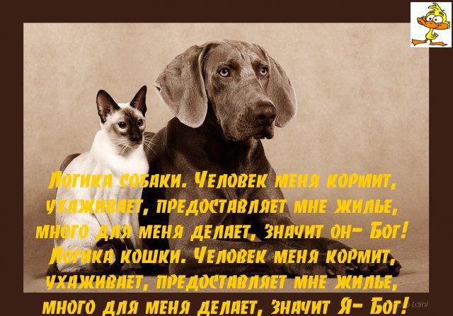 ���� - 20 ���� 2014 � 12:58