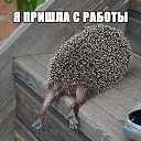  , - -  26  2014    