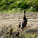 3.07.2014 �� ������� ������� ��������)))�