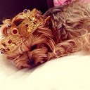 ���� Diana, ������� - ��������� 24 ��� 2014 � ������ ������ ��������