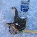 ���� ������, ���������, 44 ���� - ��������� 20 ������� 2014