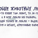 ���� Inga, ������ - ��������� 16 ������ 2014 � ������ ������ ��������