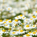 ���� ����������, ����, 32 ���� - ��������� 20 ��� 2014 � ������ ���� ����������