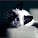 ���� �������, �����, 47 ��� - ��������� 10 ��� 2014 � ������ ������ ��������