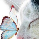 ���� �����, �������, 41 ��� - ��������� 10 ������ 2014 � ������ ������ ��������