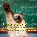  Marina,  -  19  2014    