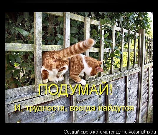   :3 - 20  2014  10:39