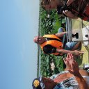 ���� �������, ������������, 44 ���� - ��������� 11 ������� 2014 � ������ ���� ����������