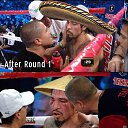 ���� Skoda, ������, 36 ��� - ��������� 14 ��� 2014 � ������ �miu�