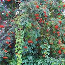 ������ 2014 �� ������� �"...�� ������ ������..."�