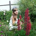 ���� �������, ������� - ��������� 8 ���� 2014 � ������ ���� ����������