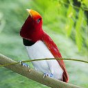 ���� ==Elena==, ������� - ��������� 3 ������� 2014 � ������ ���� ����������