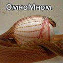 ���� ����, ��������, 52 ���� - ��������� 5 ���� 2014 � ������ ���������
