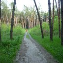 ���� ������, ���������, 56 ��� - ��������� 22 ������� 2014 � ������ ������ ��������