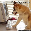  , , 71  -  28  2014     .