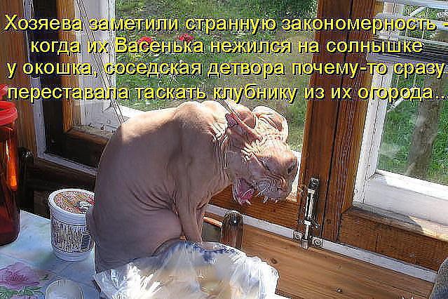  - 7  2014  16:37