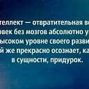 ���� �����, ��������� - ��������� 12 ���� 2014 � ������ ������ ��������