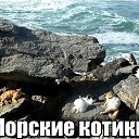���� Sergey, ���������, 50 ��� - ��������� 22 ������ 2014 � ������ ������ ��������