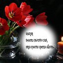 ���� ���������, ����, 56 ��� - ��������� 29 ������ 2014 � ������ ���� ����������