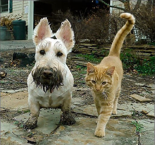 " ,   ,  ,   !