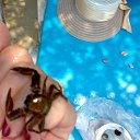 ������� ������ �� ������� �������� 2014�