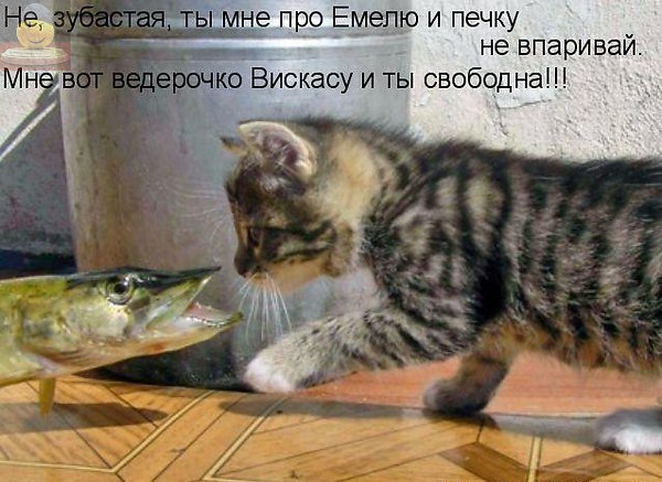    <a href=