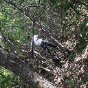  Sos, , 35  -  3  2014    