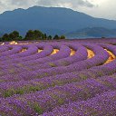 ���� Svetlana, ������ - ��������� 8 ������� 2014