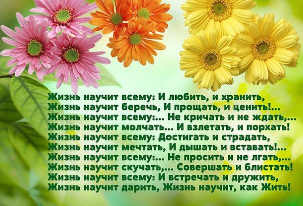 * )) - 3  2014  12:45