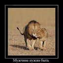 ���� Svetlana, ������ - ��������� 8 ������� 2014 � ������ ���� ����������