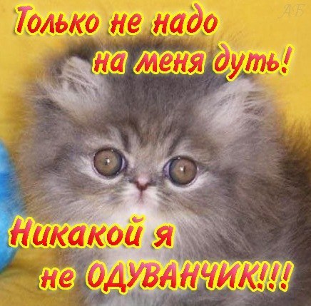  - 10  2014  17:24