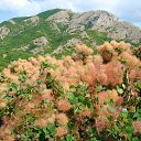 ���� ����������, ������� ��������, 63 ���� - ��������� 7 ���� 2014 � ������ �����