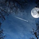  , --, 23  -  1  2014   ...