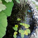 ���� ����, ����������� - ��������� 13 ������ 2014 � ������ ���� ����������