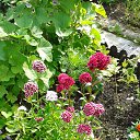 ���� ������, �����-���������, 70 ��� - ��������� 21 ������� 2014 � ������ �����