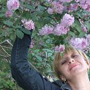  , -, 55  -  10  2014    