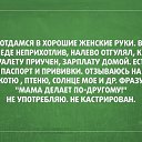 ���� ������, ������, 38 ��� - ��������� 4 ������� 2014 � ������ ������ ��������