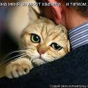 ���� ������, �������������, 37 ��� - ��������� 5 ��� 2014 � ������ ������ ��������