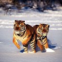 ���� �����, ����������� - ��������� 19 ������ 2014 � ������ ���� ����������