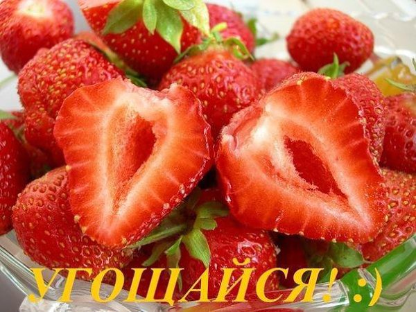   !!! , ,   ,   -    ...)))) - 10