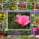 ���� ����, ������ - ��������� 15 ������ 2014 � ������ ������ ��������