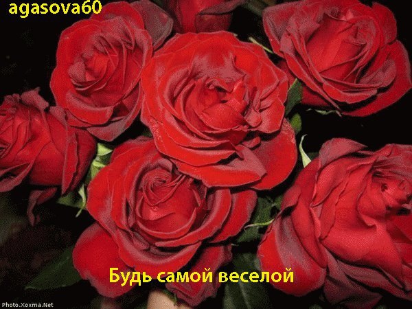  - 9  2014  13:35