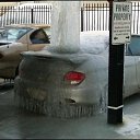 ���� ���������, ���������, 43 ���� - ��������� 23 ���� 2014 � ������ ���� ����������