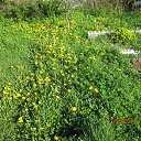 ���� ������, ������ - ��������� 14 ���� 2014 � ������ ����� 2014�