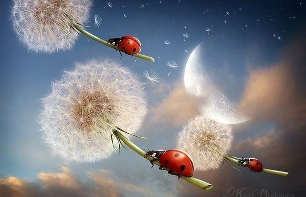 ������ ���� �������� ��������, ��� �� �� ����������� ������������ ��� ���, ��� �� �������...