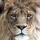 ���� ����, ������ ��������, 56 ��� - ��������� 16 ���� 2014 � ������ ���� ����������