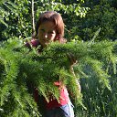 ���� ���, �����-��������, 41 ��� - ��������� 5 ���� 2014 � ������ ���� ����������