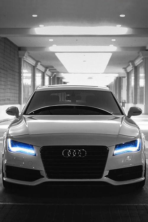 Audi -    ,  .