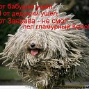 ���� ��������, ��������� - ��������� 14 ���� 2014 � ������ ������ ��������